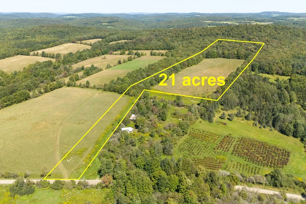 Lot 11 Warren Road, Meredith, New York 13753, Meredith, New York 13753, ,Land,For Sale,Lot 11 Warren Road, Meredith, New York 13753,R1564391