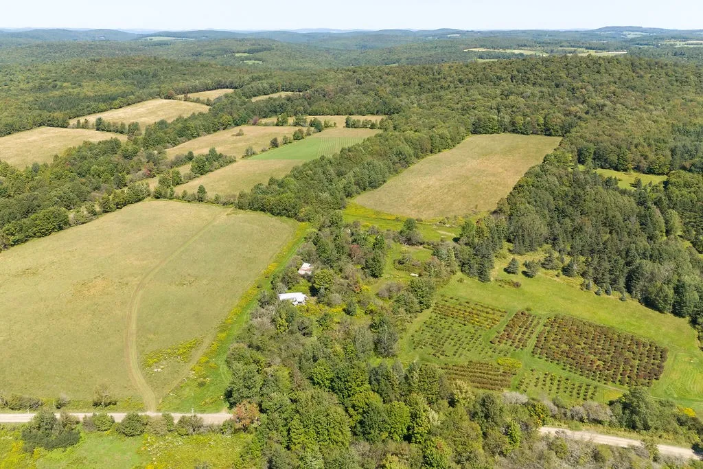 Lot 11 Warren Road, Meredith, New York 13753, Meredith, New York 13753, ,Land,For Sale,Lot 11 Warren Road, Meredith, New York 13753,R1564391