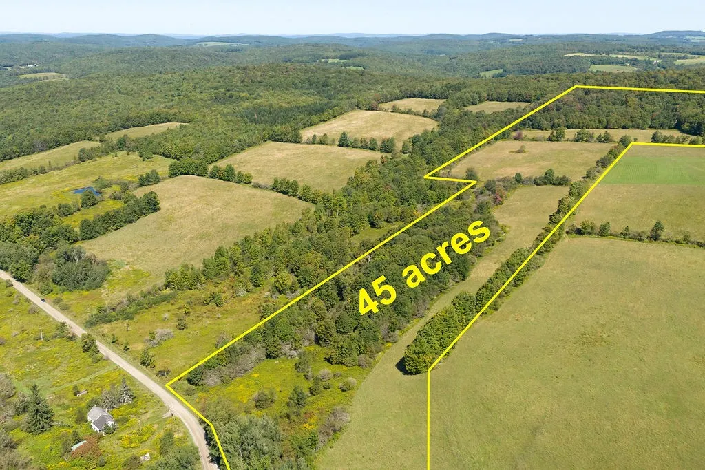 Lot 8 Warren Road, Meredith, New York 13753, Meredith, New York 13753, ,Land,Closed,Lot 8 Warren Road, Meredith, New York 13753,0,R1564346