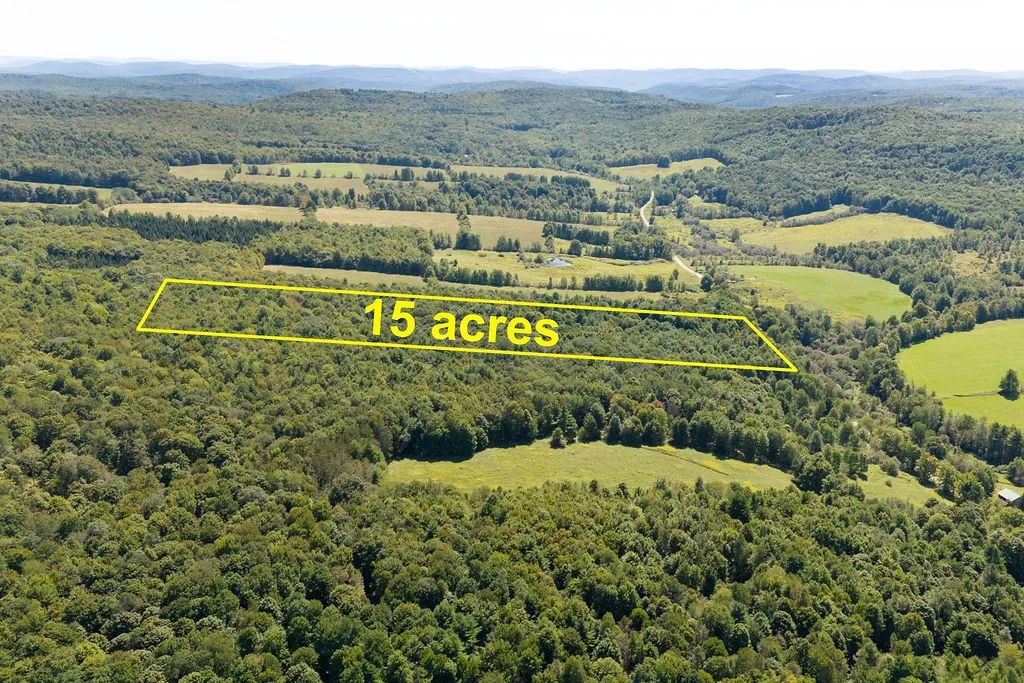 Lot 3 Warren Road, Meredith, New York 13753, Meredith, New York 13753, ,Land,For Sale,Lot 3 Warren Road, Meredith, New York 13753,0,R1564301