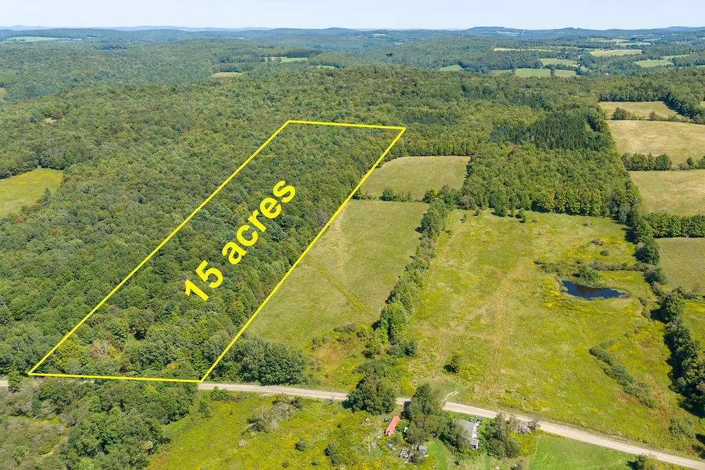 Lot 3 Warren Road, Meredith, New York 13753, Meredith, New York 13753, ,Land,For Sale,Lot 3 Warren Road, Meredith, New York 13753,0,R1564301