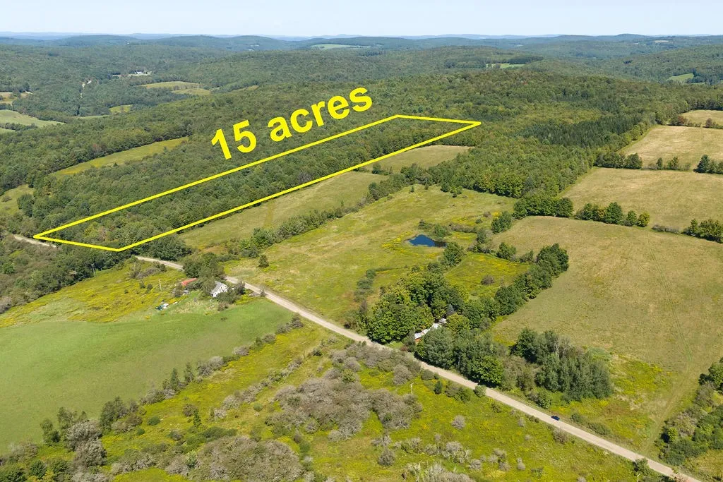 Lot 3 Warren Road, Meredith, New York 13753, Meredith, New York 13753, ,Land,For Sale,Lot 3 Warren Road, Meredith, New York 13753,0,R1564301