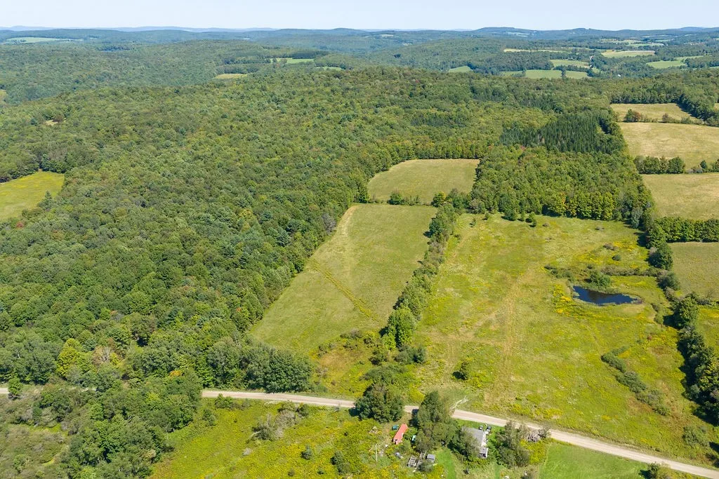 Lot 3 Warren Road, Meredith, New York 13753, Meredith, New York 13753, ,Land,For Sale,Lot 3 Warren Road, Meredith, New York 13753,0,R1564301