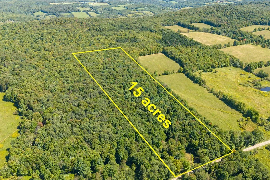 Lot 3 Warren Road, Meredith, New York 13753, Meredith, New York 13753, ,Land,For Sale,Lot 3 Warren Road, Meredith, New York 13753,0,R1564301