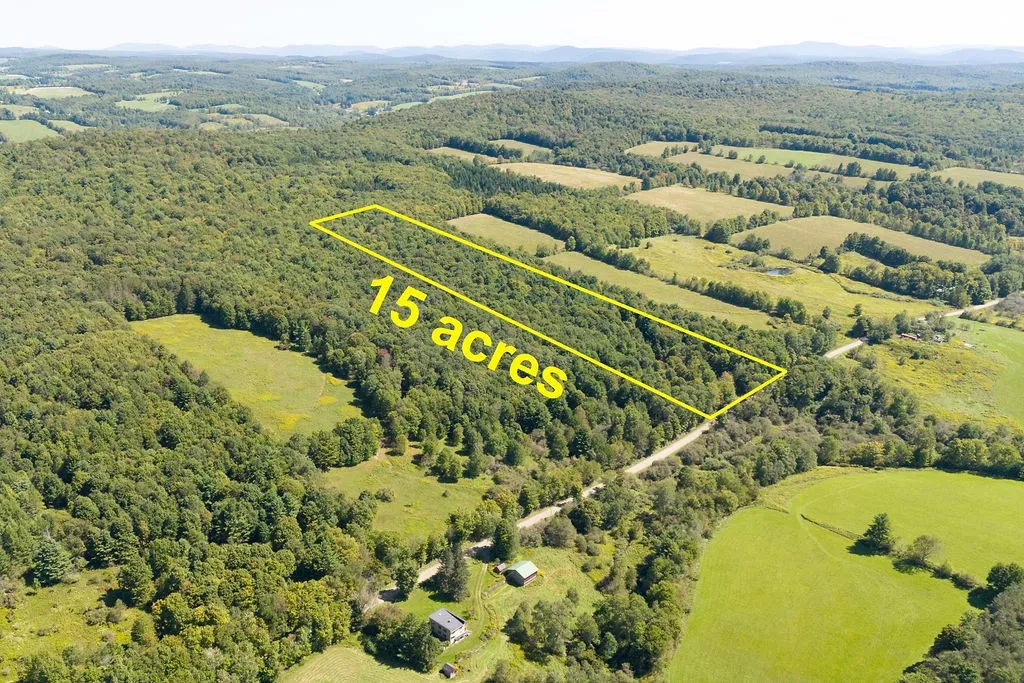 Lot 3 Warren Road, Meredith, New York 13753, Meredith, New York 13753, ,Land,For Sale,Lot 3 Warren Road, Meredith, New York 13753,0,R1564301