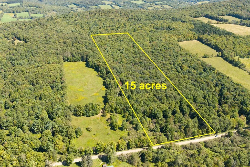 Lot 2 Warren Road, Meredith, New York 13753, Meredith, New York 13753, ,Land,For Sale,Lot 2 Warren Road, Meredith, New York 13753,0,R1564292