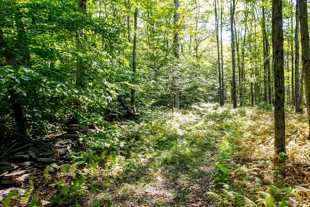 Lot 2 Warren Road, Meredith, New York 13753, Meredith, New York 13753, ,Land,For Sale,Lot 2 Warren Road, Meredith, New York 13753,0,R1564292