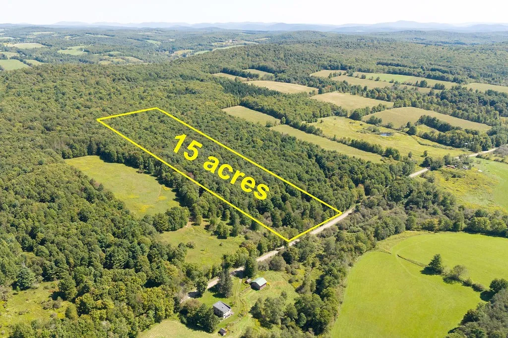 Lot 2 Warren Road, Meredith, New York 13753, Meredith, New York 13753, ,Land,For Sale,Lot 2 Warren Road, Meredith, New York 13753,0,R1564292