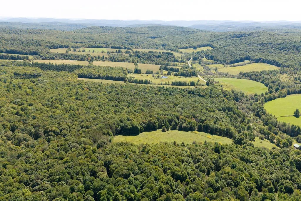 Lot 2 Warren Road, Meredith, New York 13753, Meredith, New York 13753, ,Land,For Sale,Lot 2 Warren Road, Meredith, New York 13753,0,R1564292