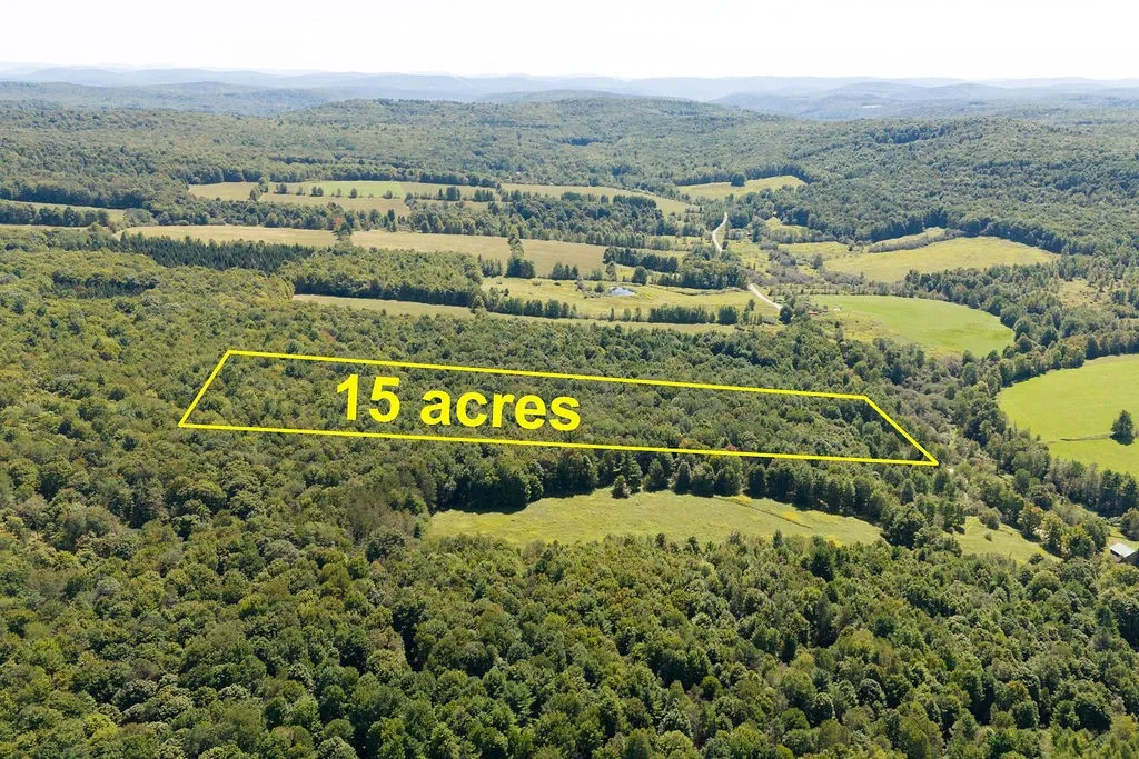 Lot 2 Warren Road, Meredith, New York 13753, Meredith, New York 13753, ,Land,For Sale,Lot 2 Warren Road, Meredith, New York 13753,0,R1564292