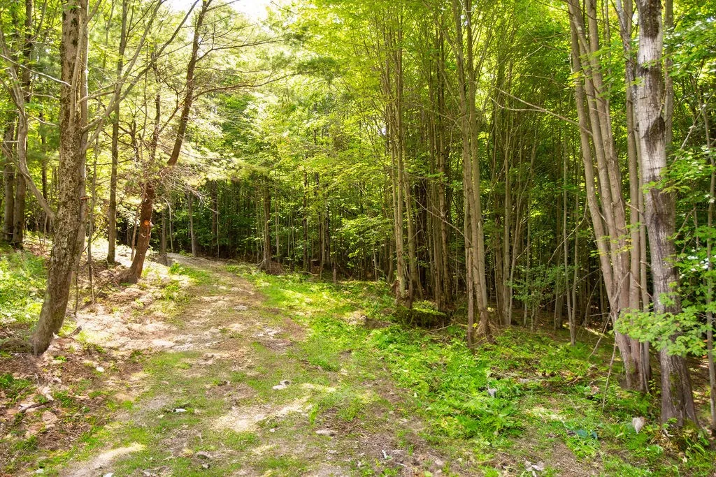 Lot 2 Warren Road, Meredith, New York 13753, Meredith, New York 13753, ,Land,For Sale,Lot 2 Warren Road, Meredith, New York 13753,0,R1564292