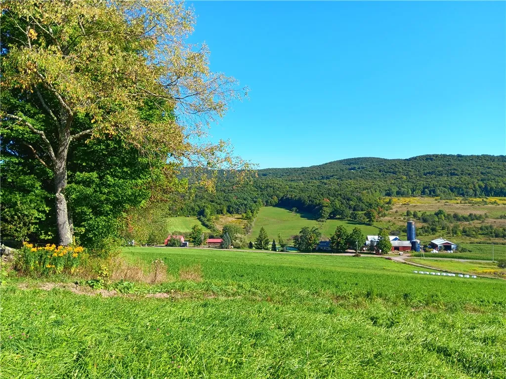 1.11 N. Harpersfield Road, Jefferson, New York 121, Jefferson, New York 12197, ,Land,For Sale,1.11 N. Harpersfield Road, Jefferson, New York 121,0,R1565024