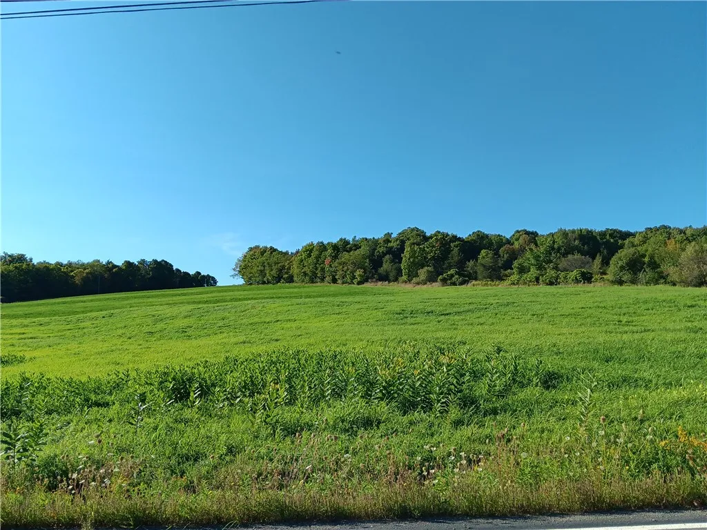 1.11 N. Harpersfield Road, Jefferson, New York 121, Jefferson, New York 12197, ,Land,For Sale,1.11 N. Harpersfield Road, Jefferson, New York 121,0,R1565024