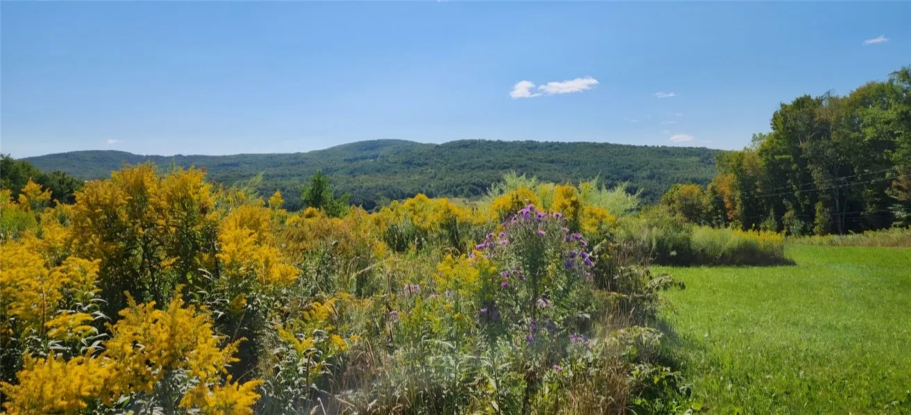 1.11 N. Harpersfield Road, Jefferson, New York 121, Jefferson, New York 12197, ,Land,For Sale,1.11 N. Harpersfield Road, Jefferson, New York 121,0,R1565024