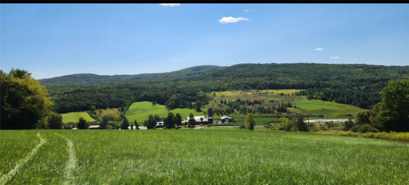 1.11 N. Harpersfield Road, Jefferson, New York 121, Jefferson, New York 12197, ,Land,For Sale,1.11 N. Harpersfield Road, Jefferson, New York 121,0,R1565024