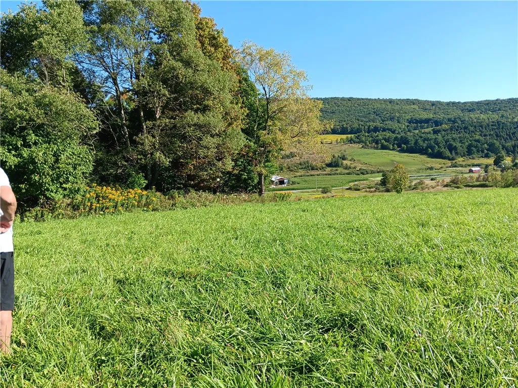 1.11 N. Harpersfield Road, Jefferson, New York 121, Jefferson, New York 12197, ,Land,For Sale,1.11 N. Harpersfield Road, Jefferson, New York 121,0,R1565024