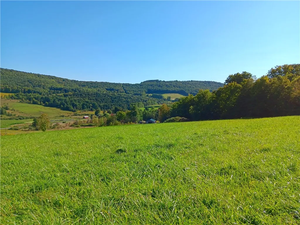 1.11 N. Harpersfield Road, Jefferson, New York 121, Jefferson, New York 12197, ,Land,For Sale,1.11 N. Harpersfield Road, Jefferson, New York 121,0,R1565024
