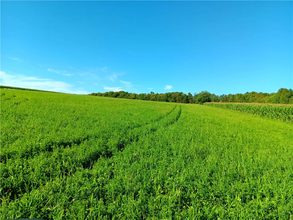 1.11 N. Harpersfield Road, Jefferson, New York 121, Jefferson, New York 12197, ,Land,For Sale,1.11 N. Harpersfield Road, Jefferson, New York 121,0,R1565024