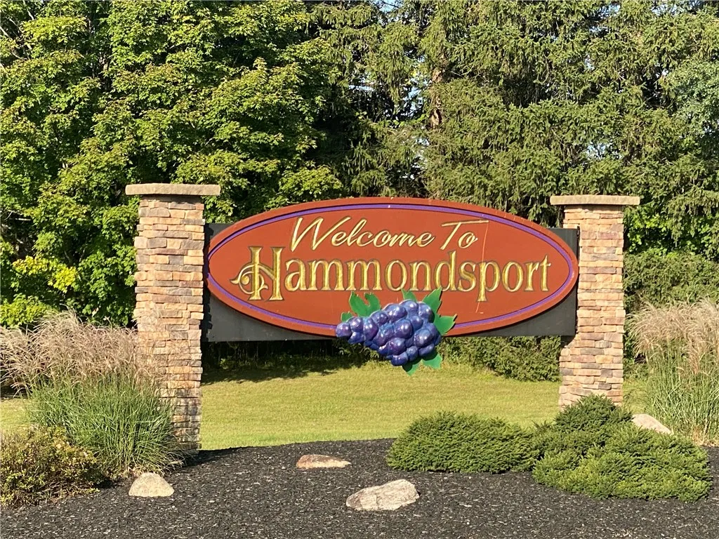 NEARBY VILLAGE OF HAMMONDSPORT!