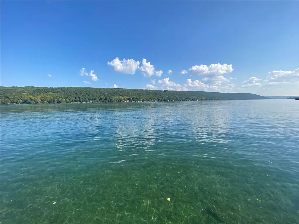 AMAZING EASTERN VIEWS OF KEUKA LAKE!