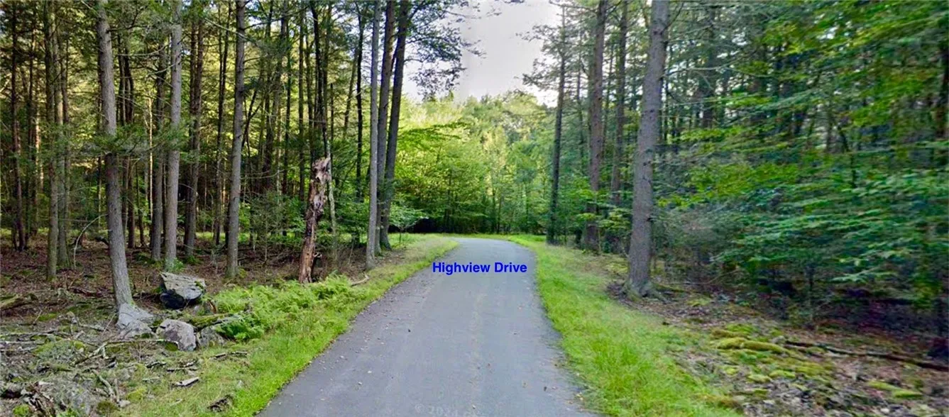 0 Orange Avenue, Bethel, New York 12778, Bethel, New York 12778, ,Land,For Sale,0 Orange Avenue, Bethel, New York 12778,0,R1565541