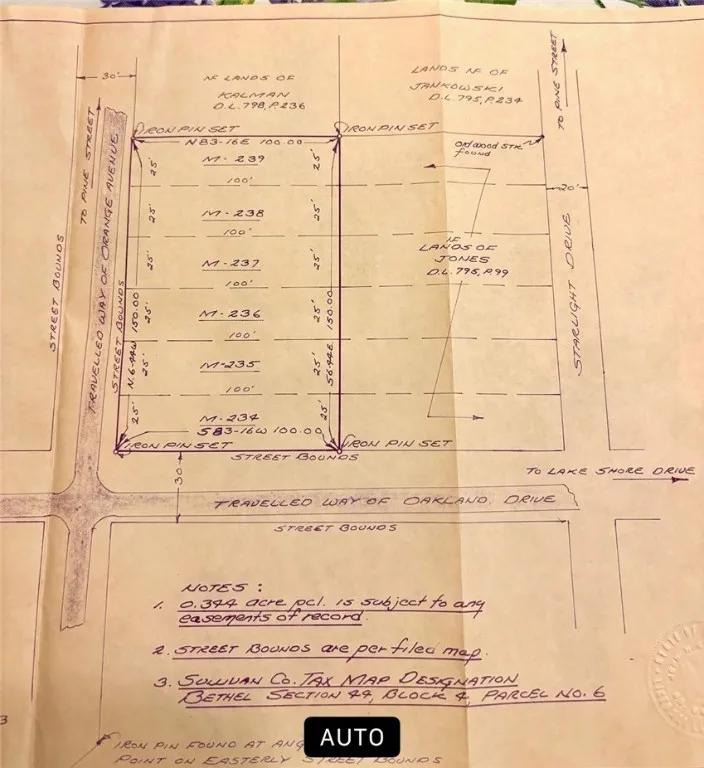 0 Orange Avenue, Bethel, New York 12778, Bethel, New York 12778, ,Land,For Sale,0 Orange Avenue, Bethel, New York 12778,0,R1565541