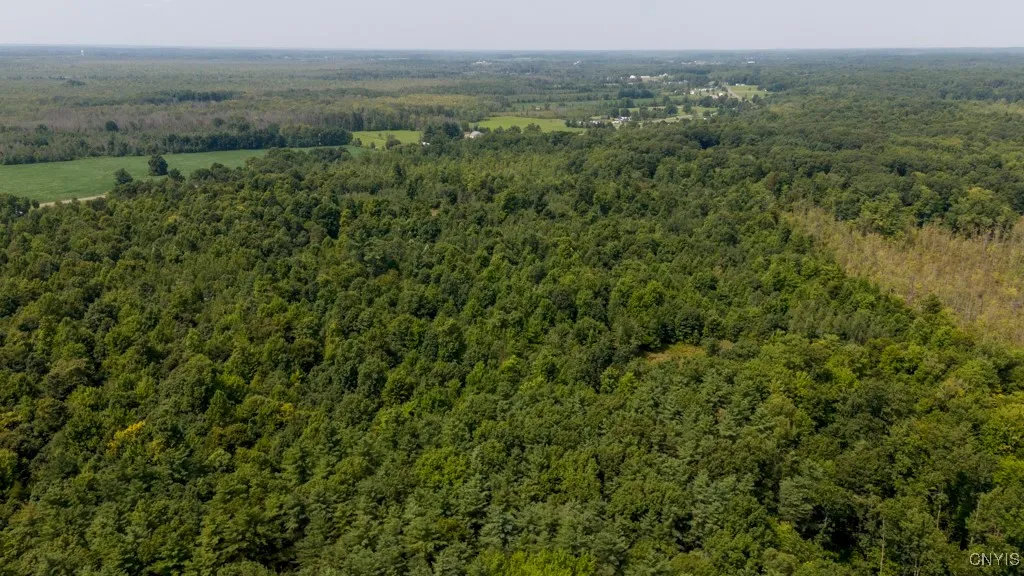00 Cr-12, Schroeppel, New York 13132, Schroeppel, New York 13132, ,Land,For Sale,00 Cr-12, Schroeppel, New York 13132,0,S1566273