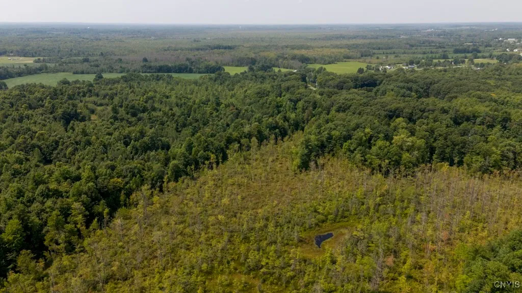 00 Cr-12, Schroeppel, New York 13132, Schroeppel, New York 13132, ,Land,For Sale,00 Cr-12, Schroeppel, New York 13132,0,S1566273