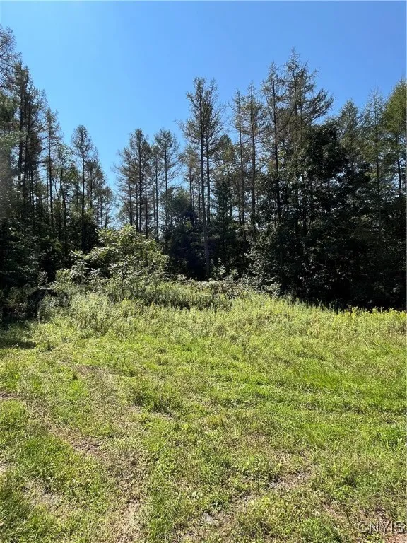 0 Hauck Hill Road, Virgil, New York 13045, Virgil, New York 13045, ,Land,Closed,0 Hauck Hill Road, Virgil, New York 13045,0,S1562004