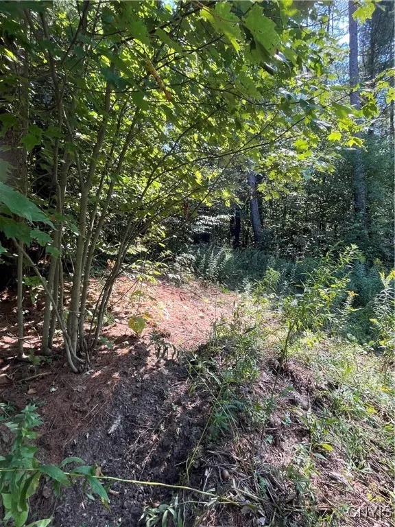 0 Hauck Hill Road, Virgil, New York 13045, Virgil, New York 13045, ,Land,Closed,0 Hauck Hill Road, Virgil, New York 13045,0,S1562004