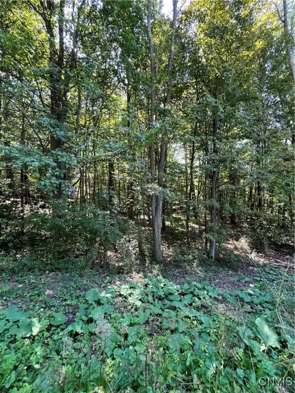 0 Hauck Hill Road, Virgil, New York 13045, Virgil, New York 13045, ,Land,Closed,0 Hauck Hill Road, Virgil, New York 13045,0,S1562004