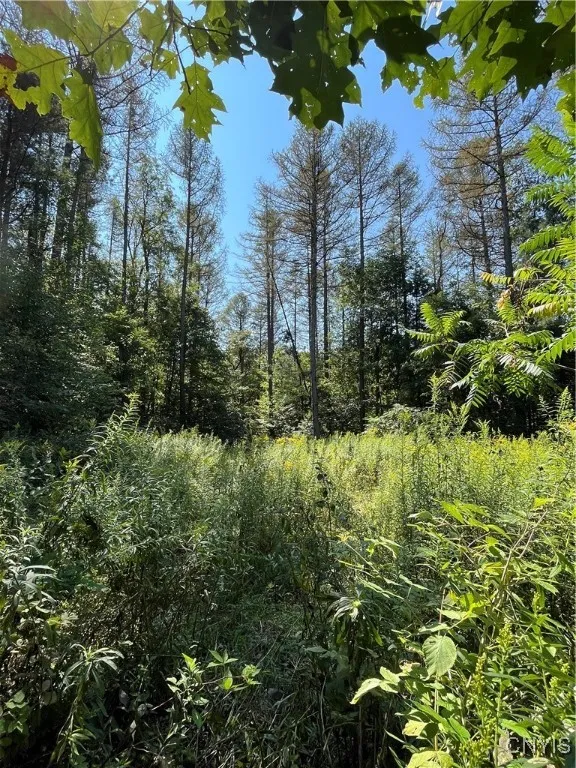 0 Hauck Hill Road, Virgil, New York 13045, Virgil, New York 13045, ,Land,Closed,0 Hauck Hill Road, Virgil, New York 13045,0,S1562004