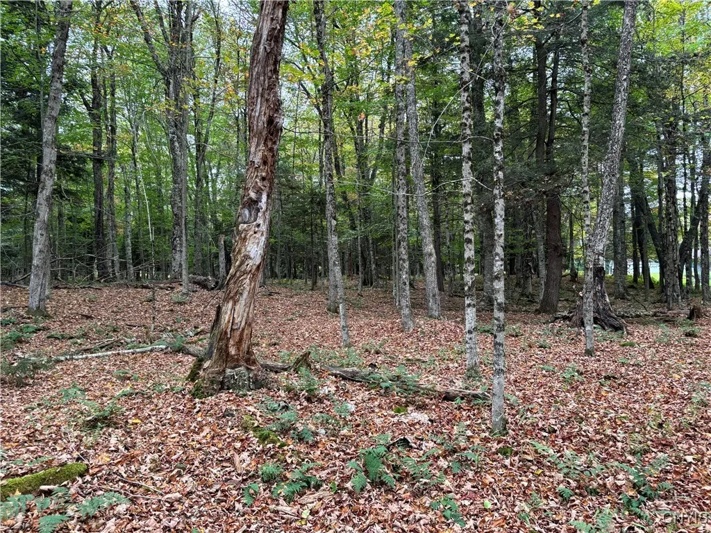 0 Deer Meadows, Webb, New York 13420, Webb, New York 13420, ,Land,For Sale,0 Deer Meadows, Webb, New York 13420,0,S1567503
