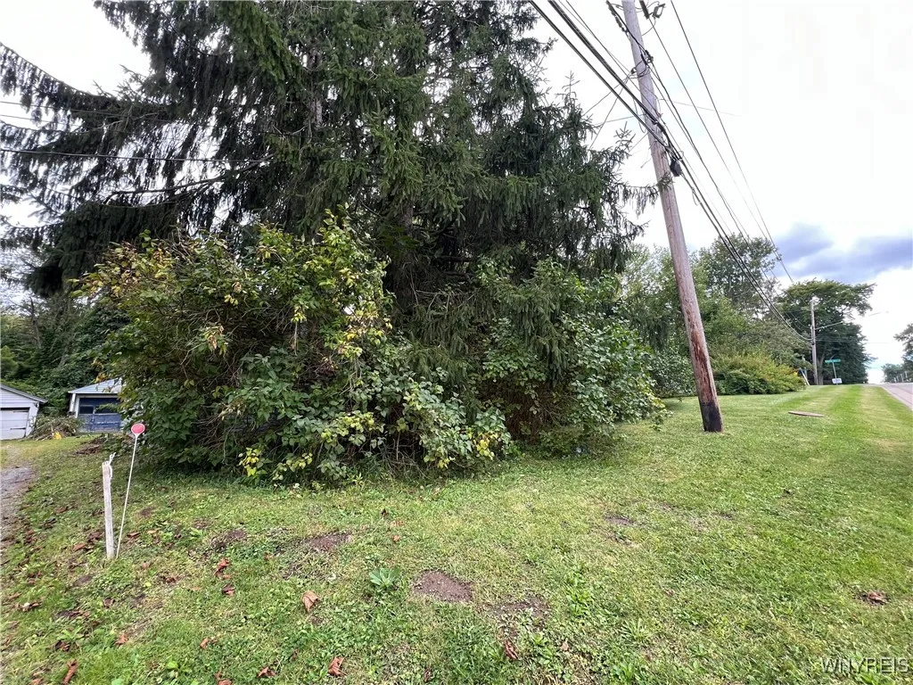 This lot goes all the way to South Hill Rd (Street sign to the middle right in picture)