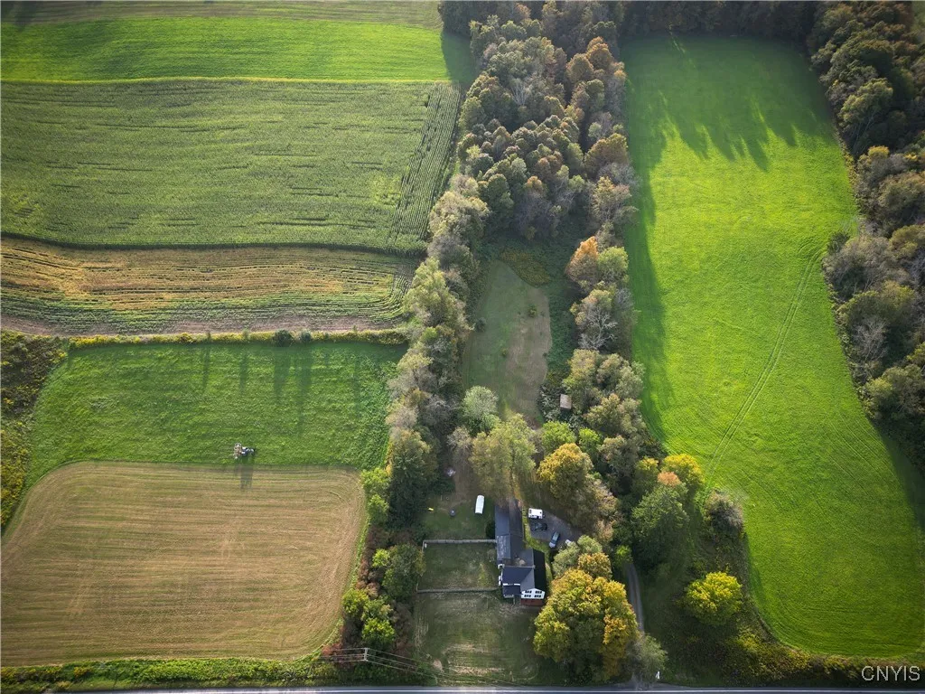 Ariel View of the homestead and acreage.