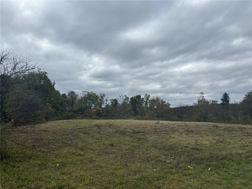 Vl Parcel 2 State Route 70, Burns, New York 14807, Burns, New York 14807, ,Land,Closed,Vl Parcel 2 State Route 70, Burns, New York 14807,0,R1568567