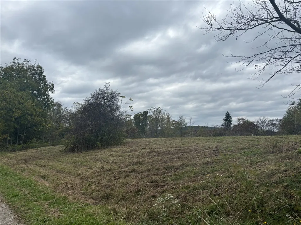 Vl Parcel 2 State Route 70, Burns, New York 14807, Burns, New York 14807, ,Land,Closed,Vl Parcel 2 State Route 70, Burns, New York 14807,0,R1568567
