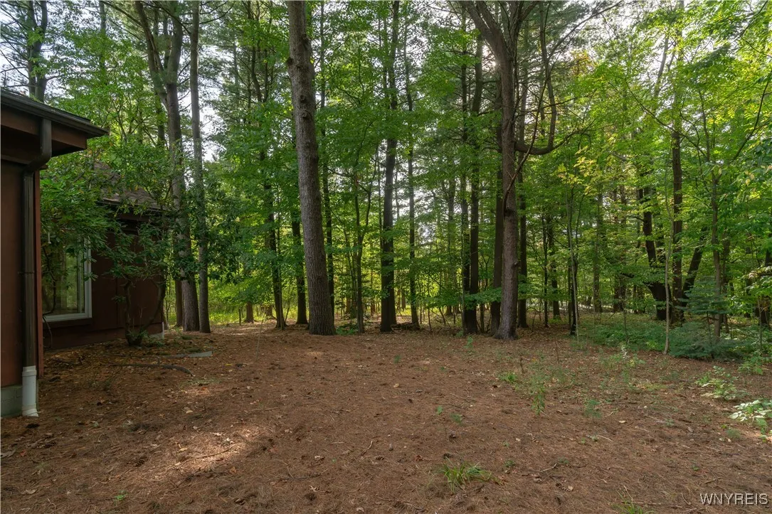 5 Lennys Lane, Orchard Park, New York 14127, Orchard Park, New York 14127, 4 Bedrooms Bedrooms, 8 Rooms Rooms,2 BathroomsBathrooms,Residential,Closed,5 Lennys Lane, Orchard Park, New York 14127,0,B1569169