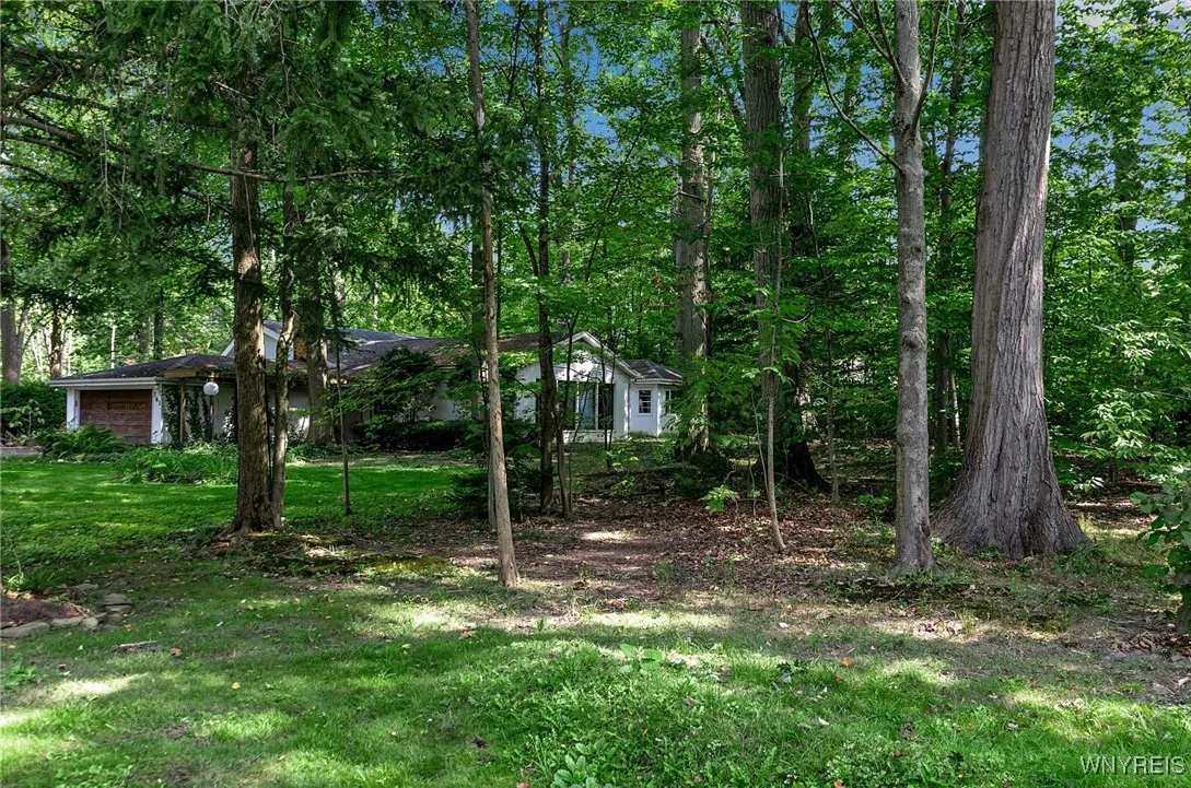 View from Woodland Drive