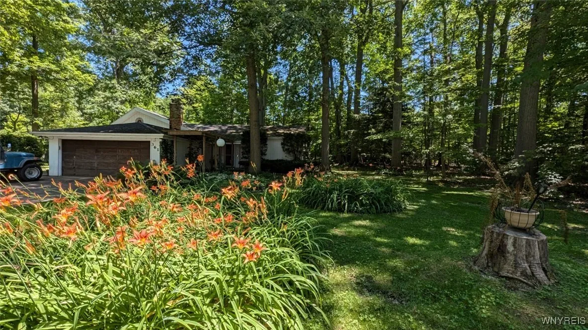 So many pretty flowers were in bloom all over the property in this photo