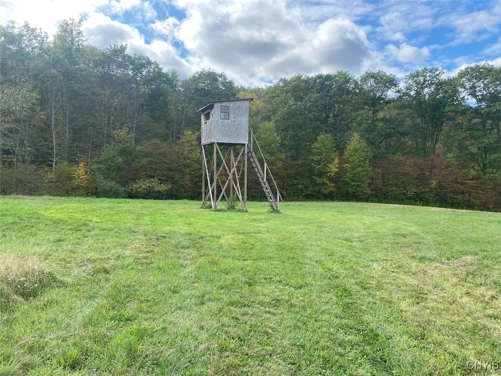 25 Bunny Road, Hinsdale, New York 14727, Hinsdale, New York 14727, ,Land,Closed,25 Bunny Road, Hinsdale, New York 14727,0,S1570169