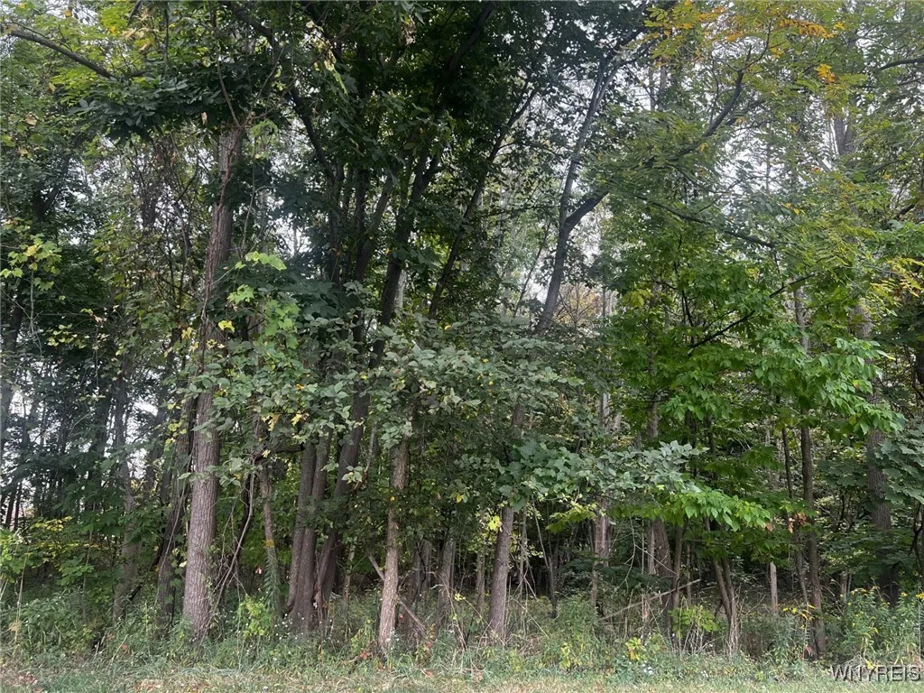 573 Niagara Street, Lockport-city, New York 14094, Lockport City, New York 14094, ,Land,Closed,573 Niagara Street, Lockport-city, New York 14094,0,B1570545