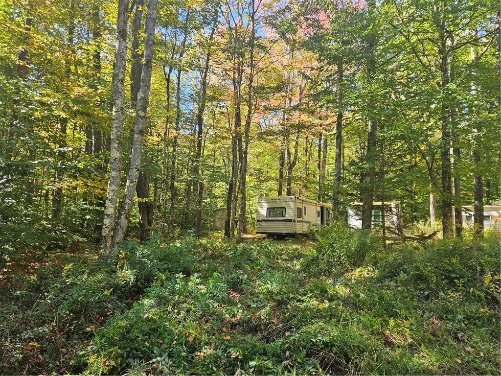 2881 County Highway 39, Decatur, New York 12197, Decatur, New York 12197, ,Land,Closed,2881 County Highway 39, Decatur, New York 12197,0,R1570806