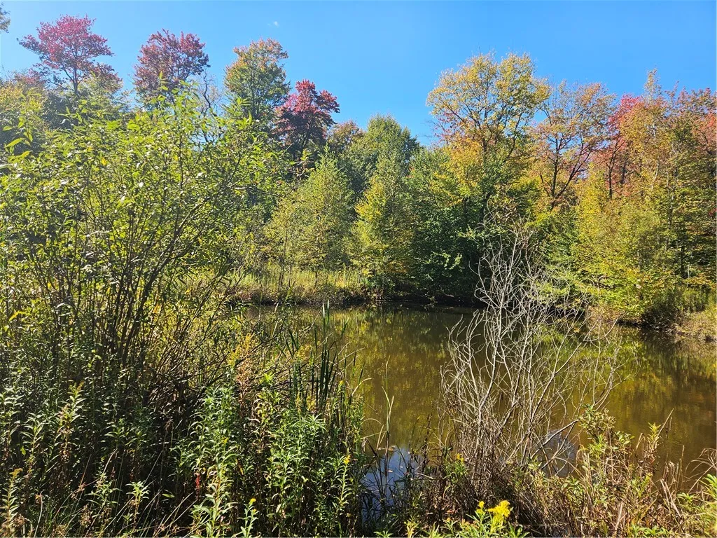 2881 County Highway 39, Decatur, New York 12197, Decatur, New York 12197, ,Land,Closed,2881 County Highway 39, Decatur, New York 12197,0,R1570806