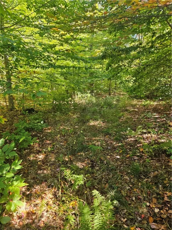 2881 County Highway 39, Decatur, New York 12197, Decatur, New York 12197, ,Land,Closed,2881 County Highway 39, Decatur, New York 12197,0,R1570806