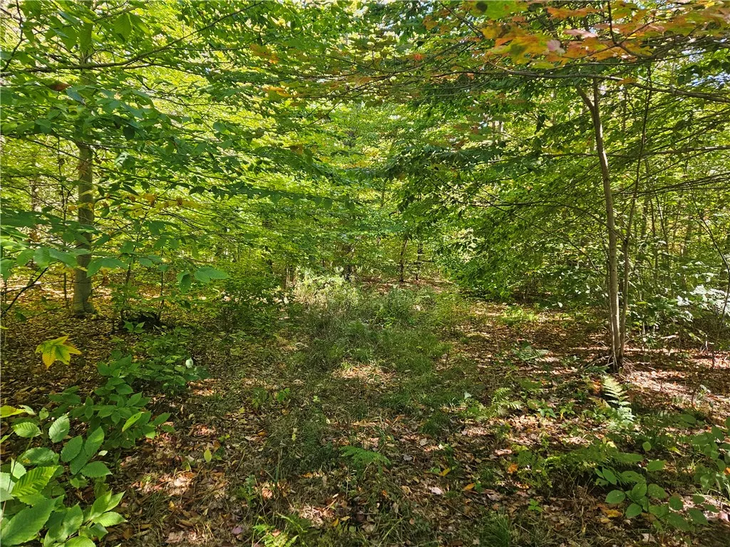 2881 County Highway 39, Decatur, New York 12197, Decatur, New York 12197, ,Land,Closed,2881 County Highway 39, Decatur, New York 12197,0,R1570806