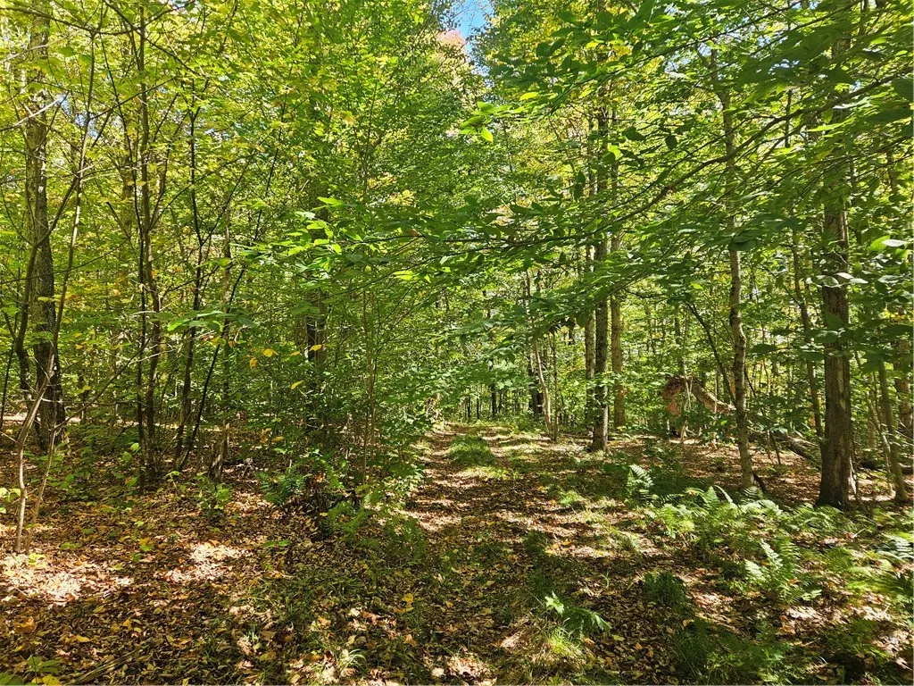 2881 County Highway 39, Decatur, New York 12197, Decatur, New York 12197, ,Land,Closed,2881 County Highway 39, Decatur, New York 12197,0,R1570806