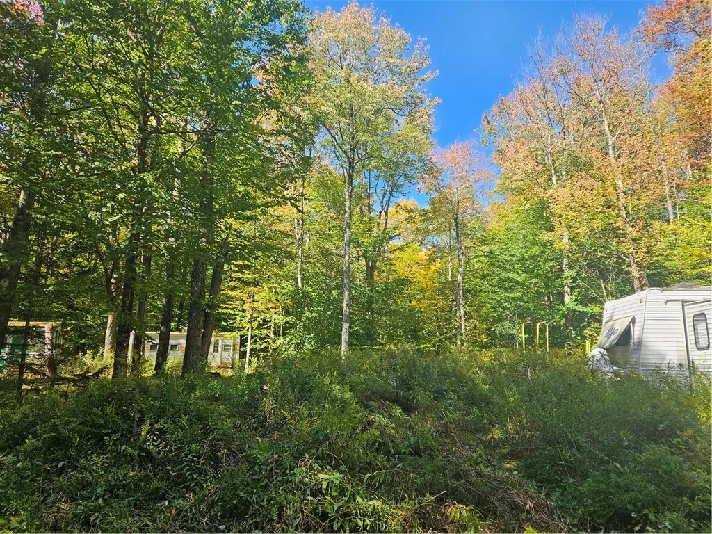 2881 County Highway 39, Decatur, New York 12197, Decatur, New York 12197, ,Land,Closed,2881 County Highway 39, Decatur, New York 12197,0,R1570806