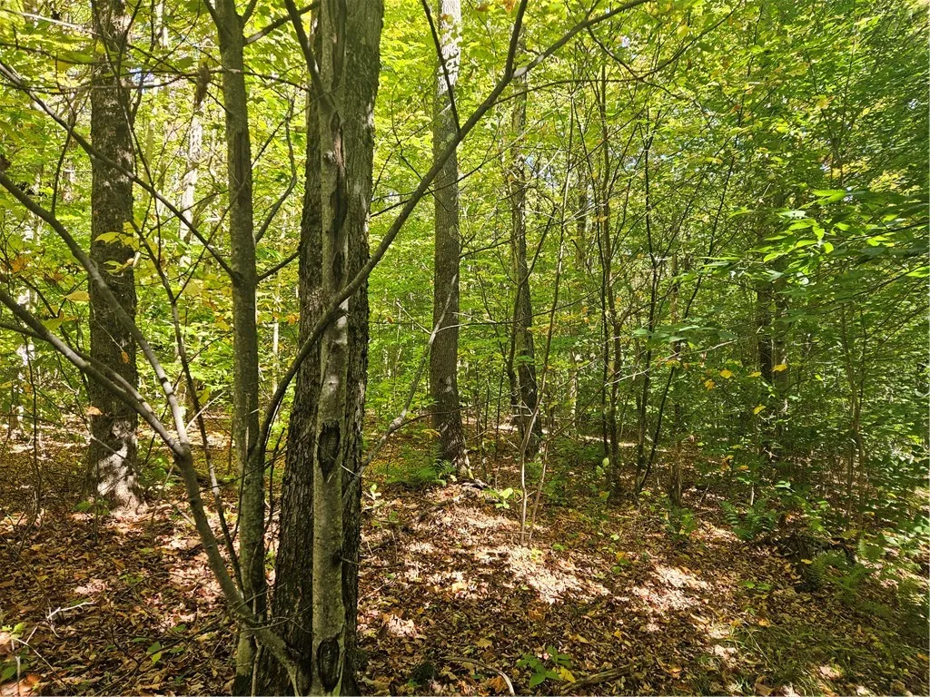 2881 County Highway 39, Decatur, New York 12197, Decatur, New York 12197, ,Land,Closed,2881 County Highway 39, Decatur, New York 12197,0,R1570806