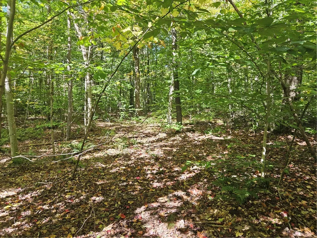 2881 County Highway 39, Decatur, New York 12197, Decatur, New York 12197, ,Land,Closed,2881 County Highway 39, Decatur, New York 12197,0,R1570806